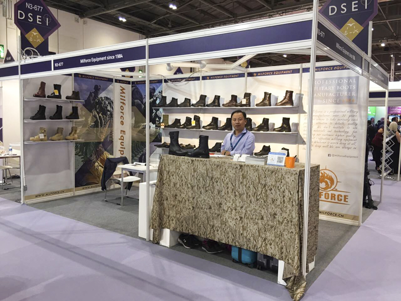 Expositions de milforce 2017 DSEI3