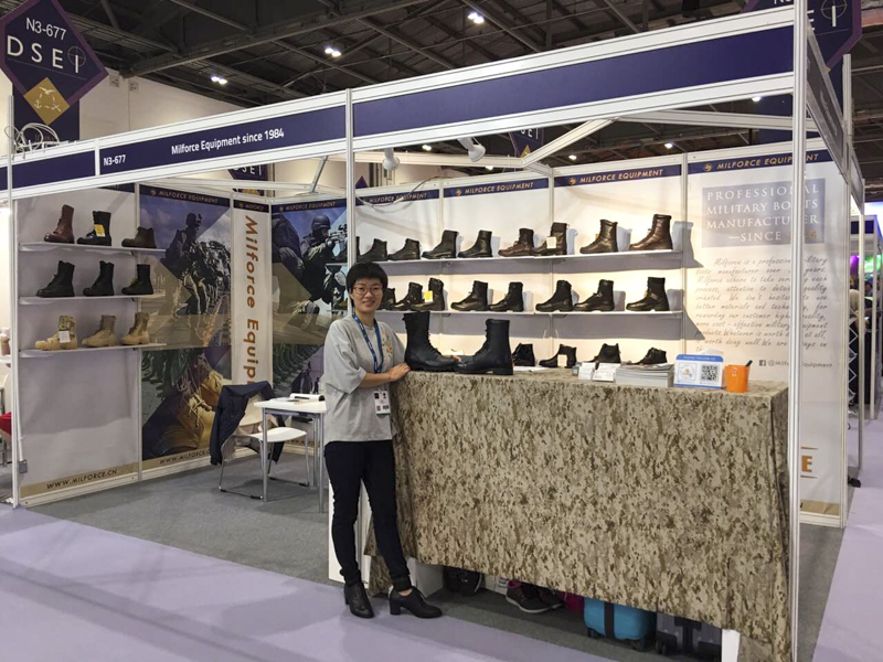 Expositions de Milforce 2017 DSEI4